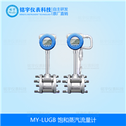 飽和蒸汽流量計(jì)
